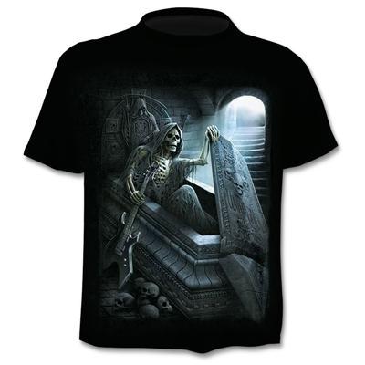 Summer Trendy Short Sleeve